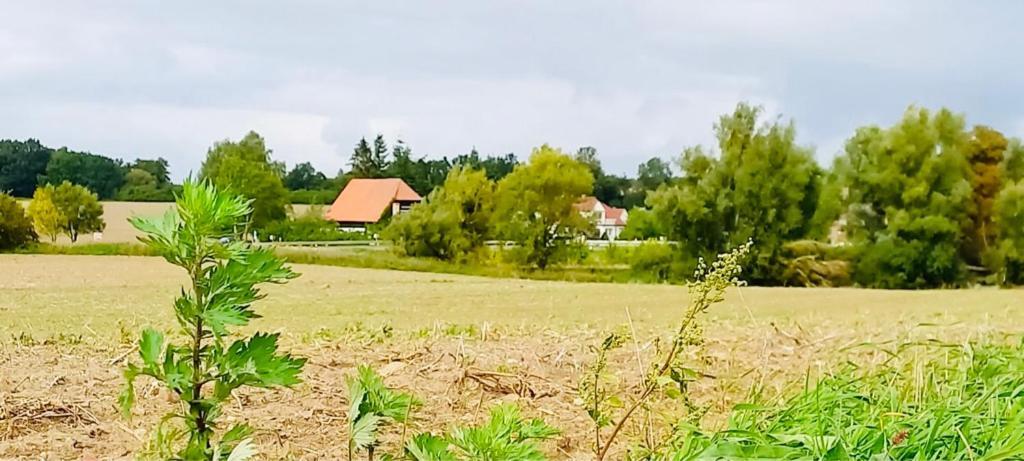 Familienhof Mueritz Apartment Klein Plasten Bagian luar foto