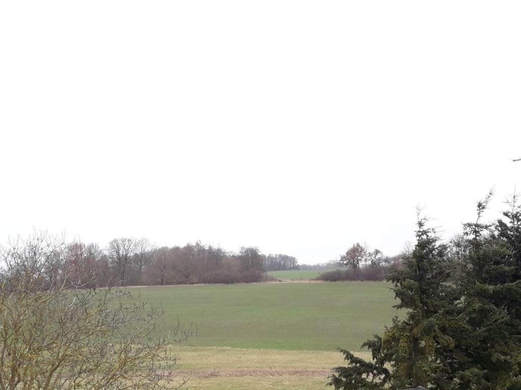 Familienhof Mueritz Apartment Klein Plasten Bagian luar foto